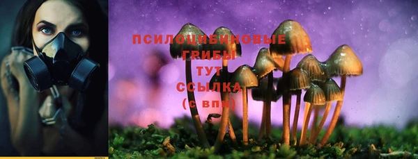 СК Балабаново