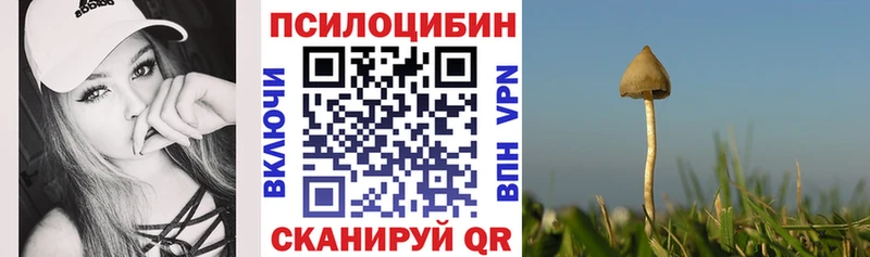 Псилоцибиновые грибы Cubensis  где продают   Боровичи 